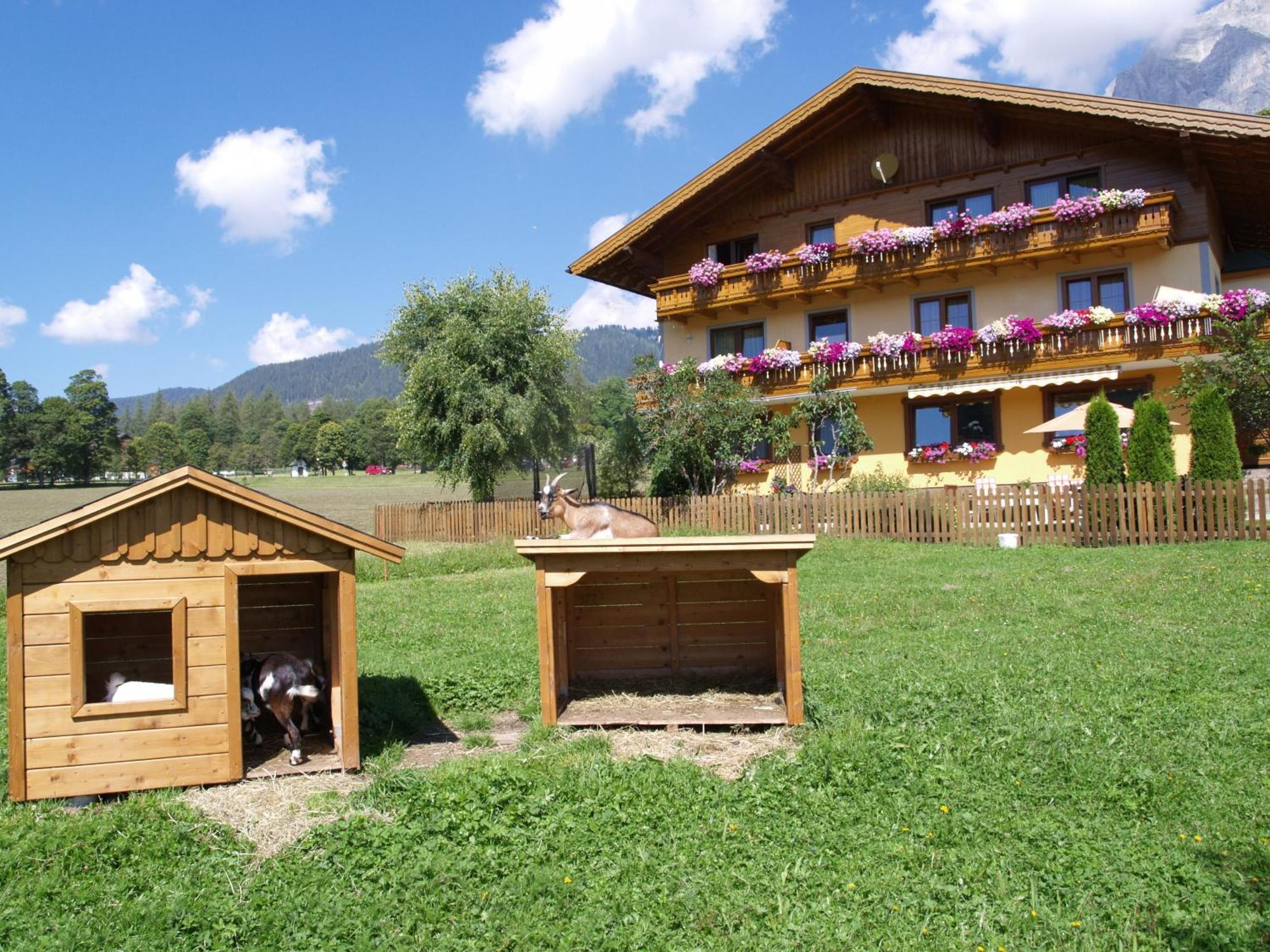 Ferienwohnung Alpenecho Ramsau am Dachstein Exterior foto